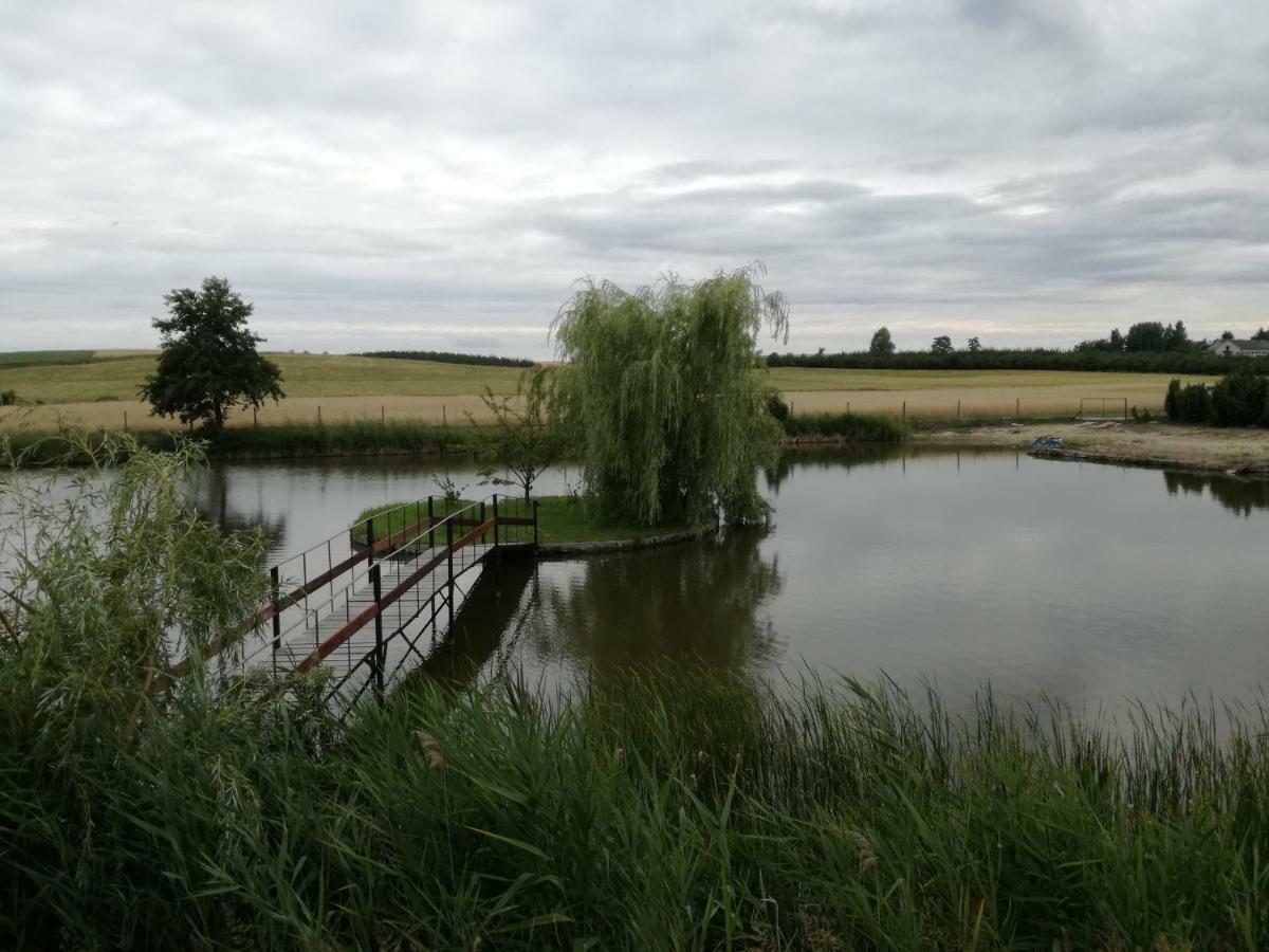 Вилла Agrowczasy Nad Stawem Gartatowice Экстерьер фото