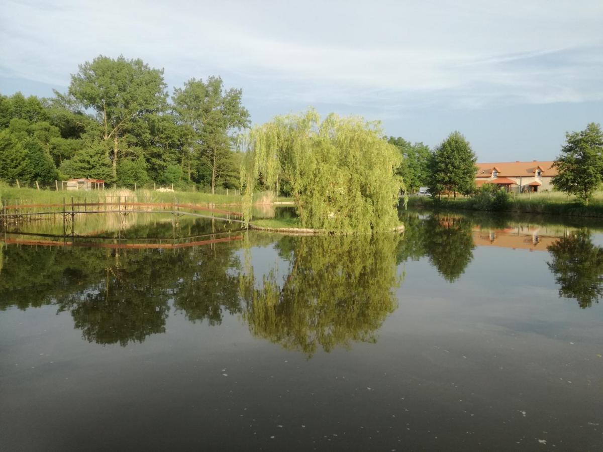 Вилла Agrowczasy Nad Stawem Gartatowice Экстерьер фото